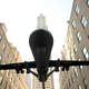 Image for article titled NSA surveillance scandal: Major legal site shuts down over spying